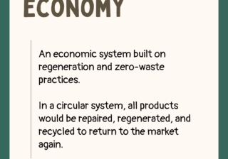 Circular Economy 1