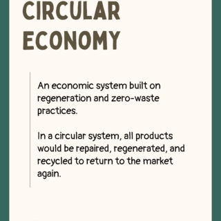 Circular Economy 1