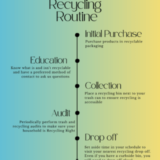 Recycling Routine