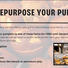 Reupurpose your pumpkin 25